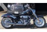2018-2020 Wide Tire Softail M8 Low Cat 2:1 Exhaust